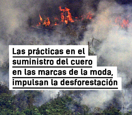 Mientras la selva arde, necesitamos saber de dónde viene el cuero usamos.