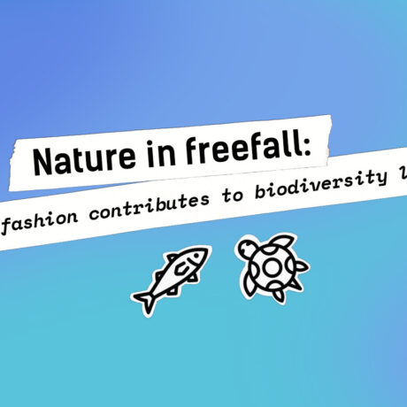 Nature in Freefall: How Fashion Contributes to Biodiversity Loss