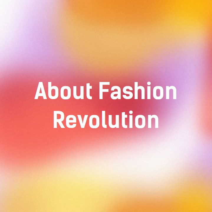 Homepage1 Fashion Revolution