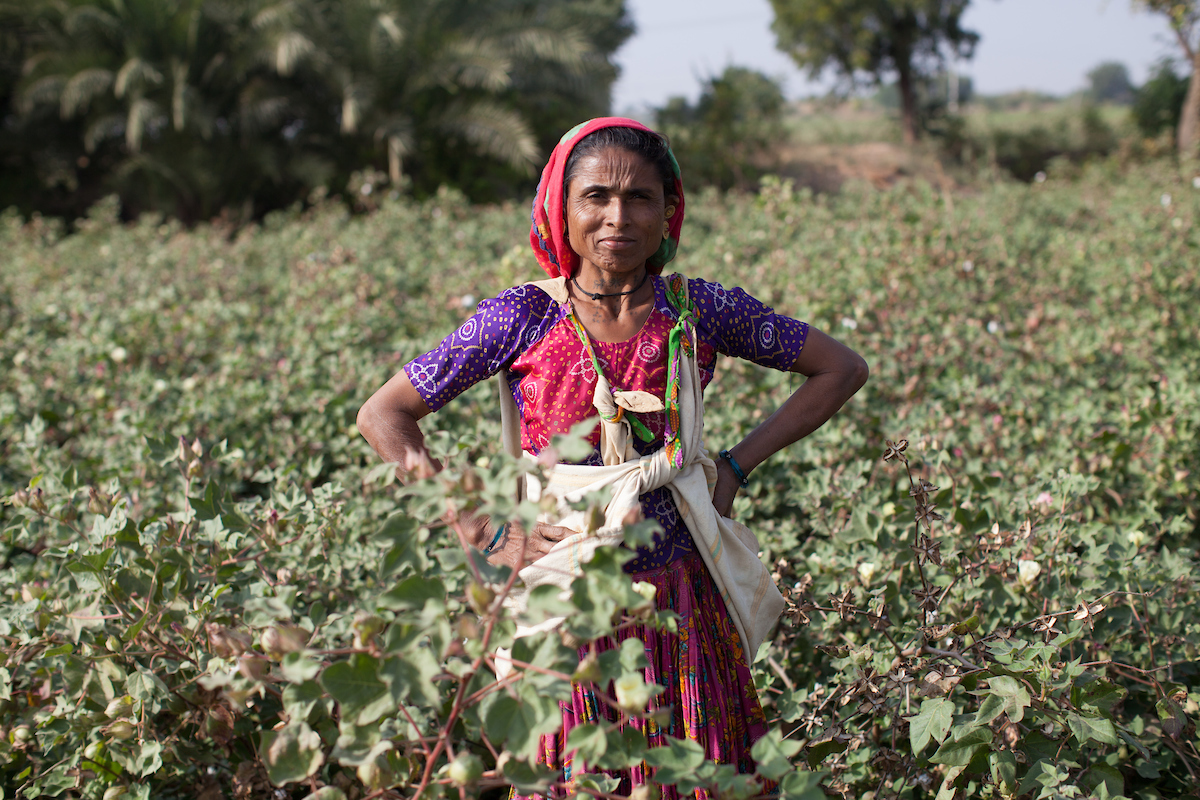 Support Indian cotton farmers through the pandemic - Fairtrade