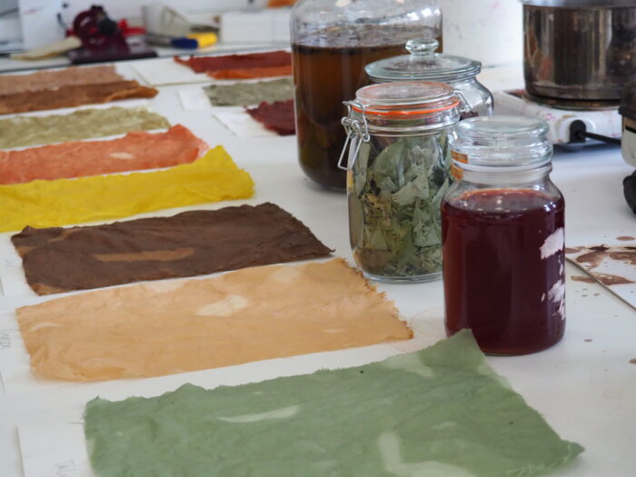 Natural dyes for the textile garden.