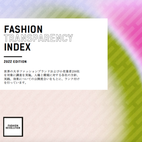 Fashion Transparency Index 2022