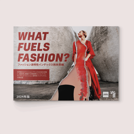What Fuels Fashion? 2024 Japanese translation