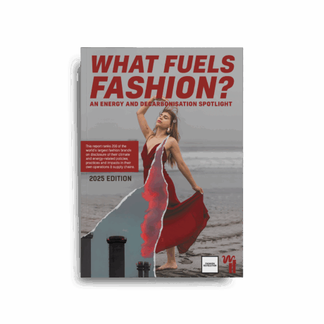 What Fuels Fashion? 2025