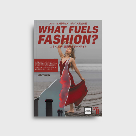 What Fuels Fashion