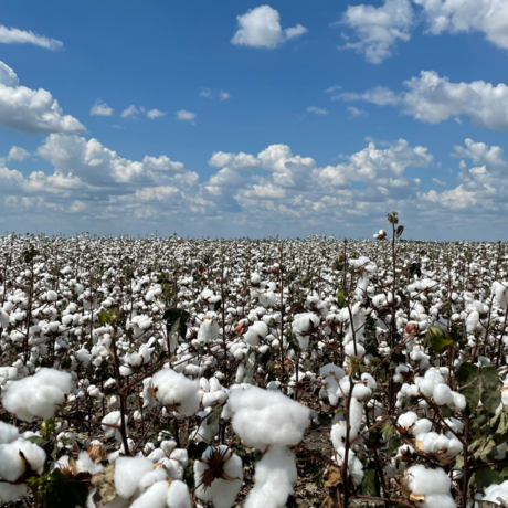 Farm to Closet – amikor a divat történettel érkezik a szekrényedbe