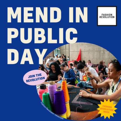 Mend in Public Day